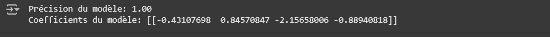 Résultat du code